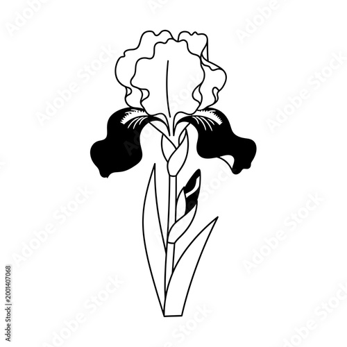 Iris Flower Vector Illustration Black and White Line Art Drawing