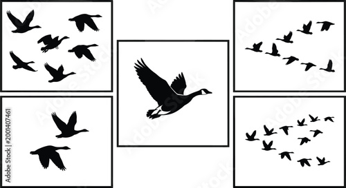 Flying geese silhouettes collage flock formation migration wildlife birds vector illustration collection set