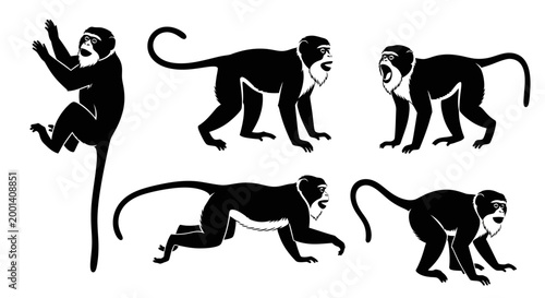 Set of Monkey Silhouettes in Various Poses