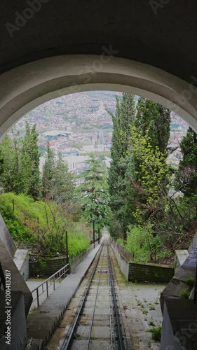 railway bridge in the forest