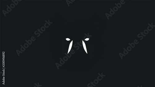 Minimalist White Eyes on Black Background Representing Mystery and Intrigue.