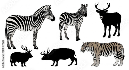 Collection of Diverse Wild Animal Silhouettes and Illustrations.