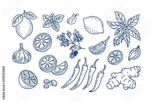 Assorted culinary herbs and fresh organic spices for cooking flavor seasoning.