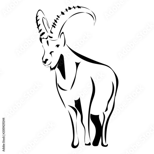 Steinbock 