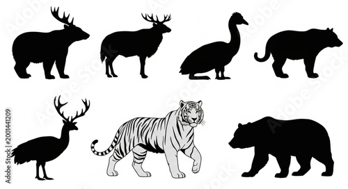 Collection of Diverse Animal Silhouettes and Outline.