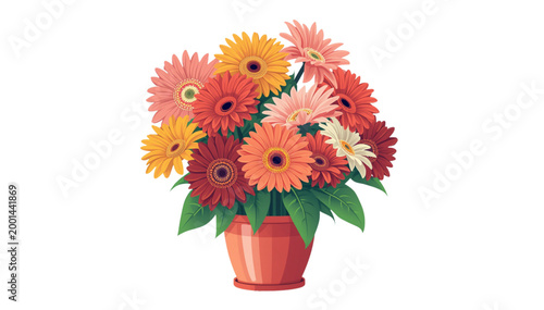 Beautiful colorful gerbera flowers blooming in pots