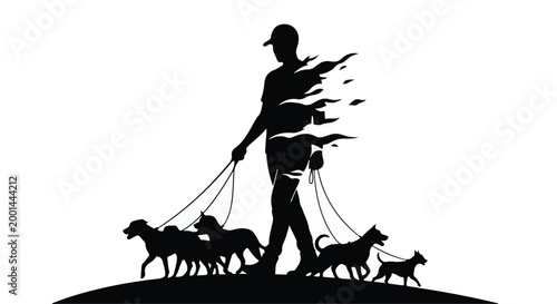 silhouette of person walking multiple dogs on leashes