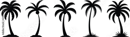 Collection of five black silhouette palm trees with coconuts isolated on transparent background