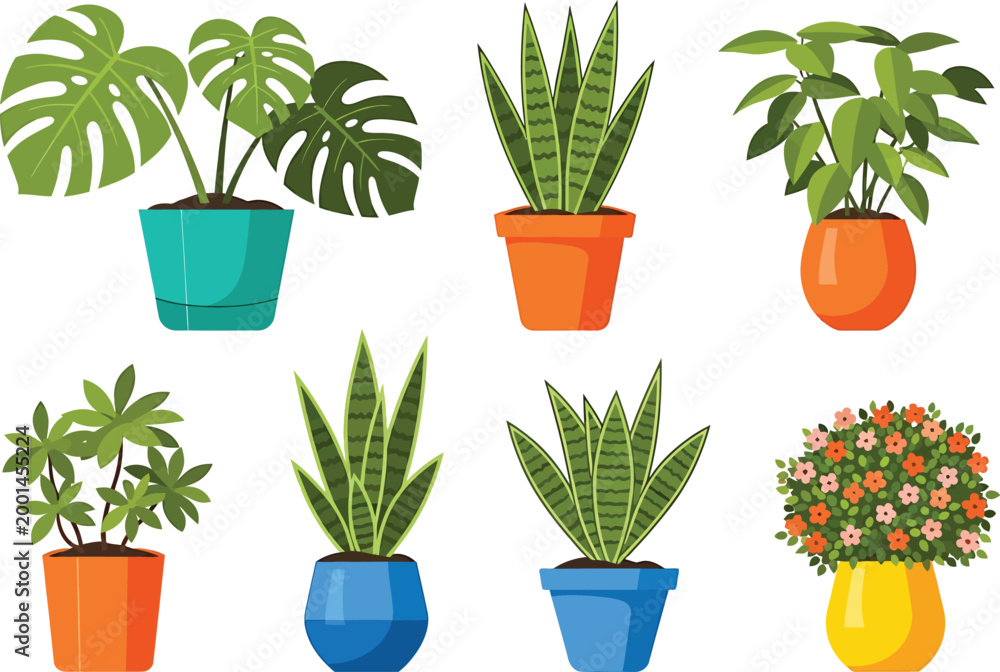 Fototapeta premium Colorful Potted Plants on White Background
