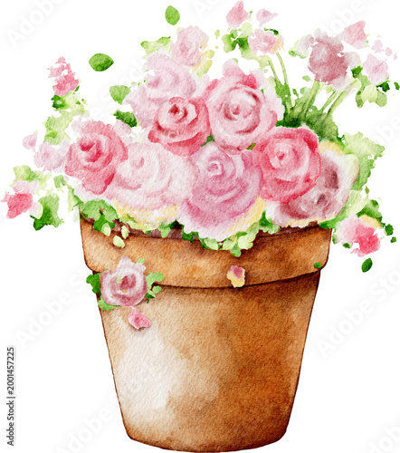 Watercolor Flower in a Terracotta Pot
