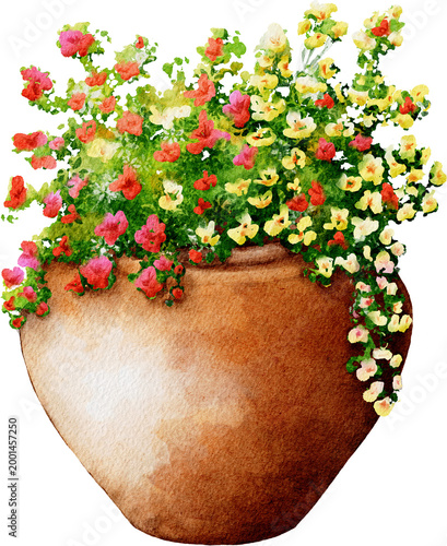 Watercolor Flower in a Terracotta Pot