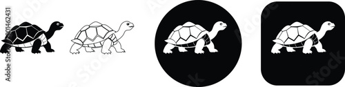 Set of Minimalist Tortoise and Land Turtle Wild Animal Vector Icons in Detailed Black and White Silhouette and Outline Styles