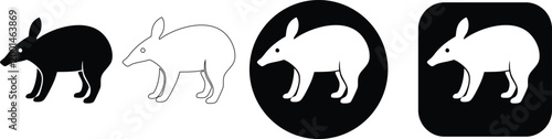 Set of Minimalist Armadillo and Pangolin Wild Animal Vector Icons in Detailed Black and White Silhouette and Outline Styles