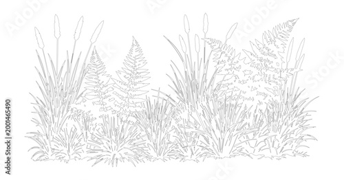 Minimalist line art botanical border, hand drawn wild grass and fern foliage vector, elegant black and white floral sketch for wedding invitations