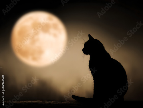 Silhouette of a cat sitting against a full moon at night with dark trees in the background