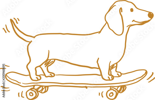Hand-drawn doodle of a happy dachshund dog riding a skateboard, featuring a brown outline on a clean white background