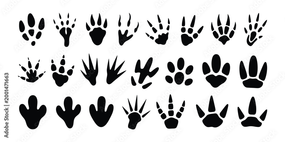 Fototapeta premium Dinosaur Footprint Vector Set, Black Dino Silhouette Fossil Paw Prints, Monster Reptile Footsteps, Paleontology Fossil Track Collection with Tyrannosaurus and Triceratops Tracks