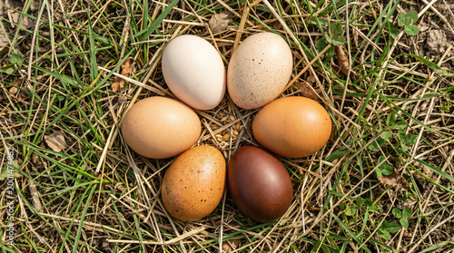 A collection of colorful eggs lies arranged in grass and hay outdoors.