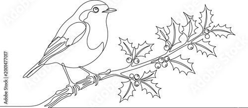 Robin Bird Perched on Holly Branch with Berries Line Art Illustration