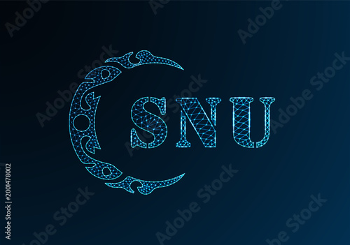 Low poly letter logo SNU design. SNU letter logo low poly vector design on blue color gradient background. SNU logo low poly design