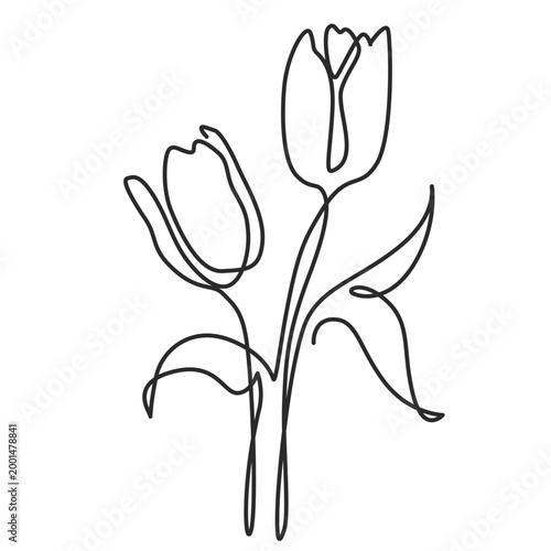 Tulips Continuous Line Drawing, Minimalist One Line Art Illustration