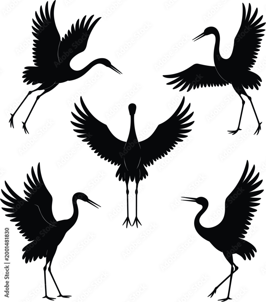 Fototapeta premium Crane bird silhouettes set, flying and standing heron stork collection with wings spread design