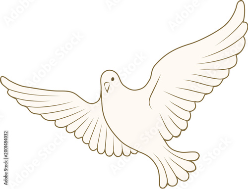 Flying white pigeon