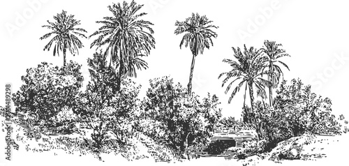Vintage black and white illustration of palm trees and dense bushes in tropical landscape