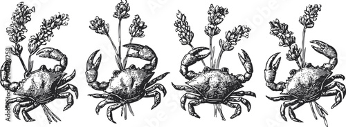 Vintage crab illustrations with lavender flowers arranged in a pattern, marine and botanical elements