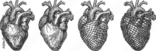Hand drawn human heart anatomy with mesh overlay medical illustration showing biological and anatomical details of the heart