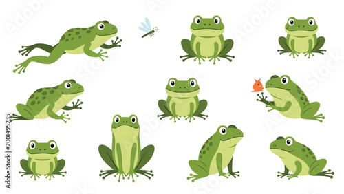 Charming set of green frog illustrations in various positions along with a small dragonfly and a tiny snail on a white background.