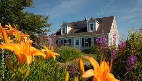 Charming White House with Orange Lilies and Purple Flowers in a Lush Garden.