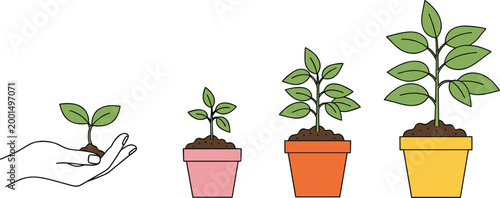 Set of 4 Vector Illustrations of Growing Plants in Pots with Different Stages of Growth for Websites, Apps, and Gardening Digital Media Designs