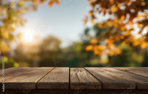 Wooden tabletop in focus, with a soft-focus autumnal forest backdrop and sunlight