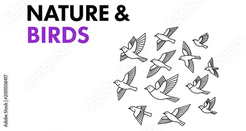 A flock of small birds in simple line art style in flight during daytime