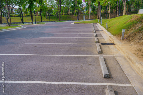 Empty parking lot with marked spaces and concrete wheel stops near green trees and grass in daylight