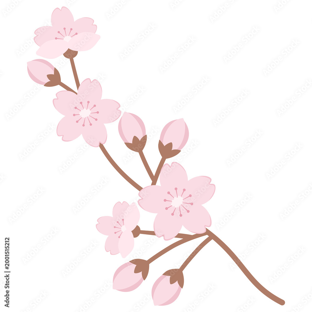 Obraz premium Cherry blossom branch with pink flowers isolated on transparent background