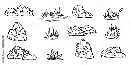 Bushes and lush meadow foliage, simple hand sketch. Vector illustration. Set of linear drawings of forest plant and grasses, isolated on white background. Concept of nature, rural landscape and summer