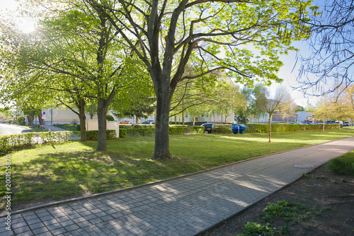 Cuadro en lienzo Sunny urban park with trees casting shadows over a paved walkway, surrounded by residential buildings and greenery