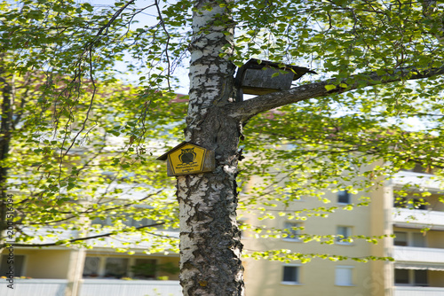 Фотография Tree with birdhouses and a nature protection sign in a residential area, symbolizing wildlife conservation and coexistence with nature