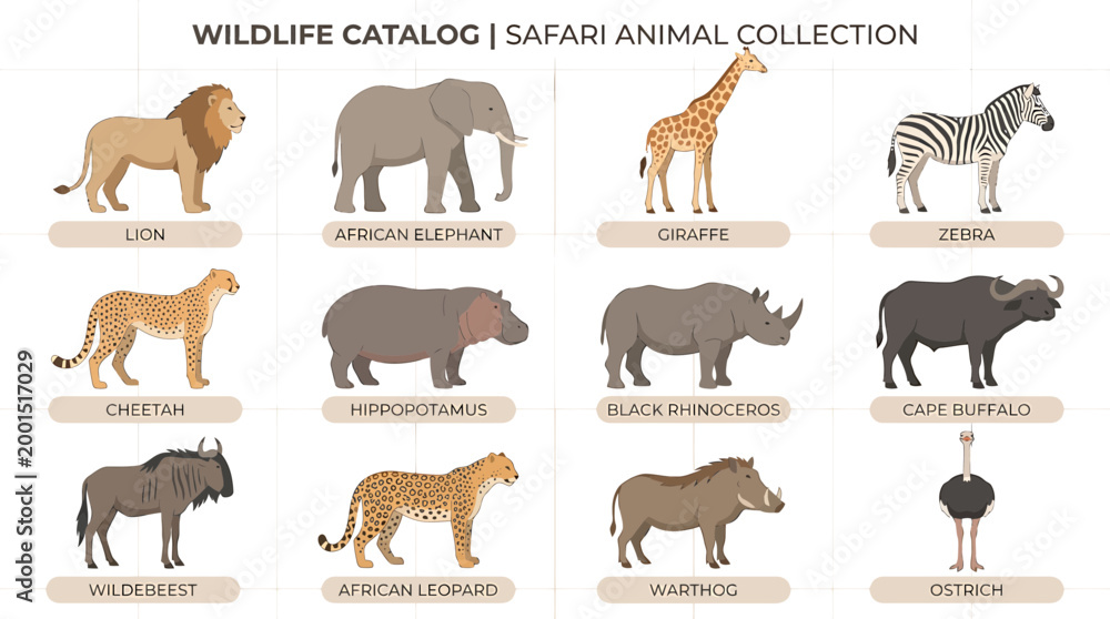 Obraz premium Safari Animals Collection: Lion, Elephant, Giraffe, Zebra, Cheetah, Rhino, Buffalo, Wildebeest, Leopard, Warthog, Ostrich