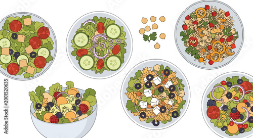Assorted Healthy Vegetable Salad Bowls Vector Illustration with Fresh Ingredients