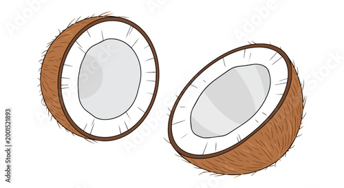 Two Coconut Halves Vector Illustration, Fresh Sliced Tropical Fruit with Brown Shell and White Meat, Isolated on White Background