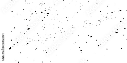 Abstract monochrome image featuring a sparse scattering of dark specks on a light background, evoking a sense of minimalistic textures. 