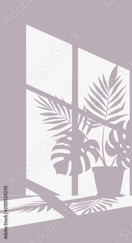 Shadows cast by a potted palm plant on a sunlit windowsill, creating a serene and minimalist interior aesthetic