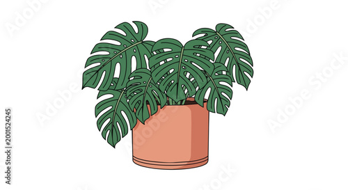 Tropical Monstera Deliciosa Houseplant in Terracotta Pot Vector Illustration