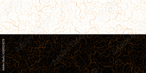 modern black and gorgeous white topographic contours lines of mountains. Vintage outdoors style, Topography map background. Vector seamless line wave map texture, contour background.
