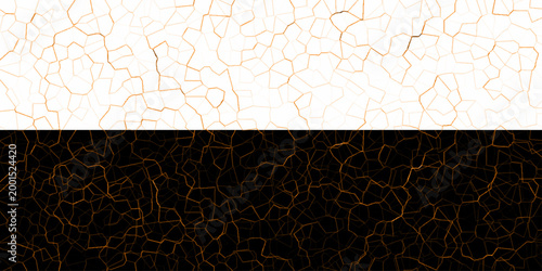 modern black and gorgeous white topographic contours lines of mountains. Vintage outdoors style, Topography map background. Vector seamless line wave map texture, contour background.
