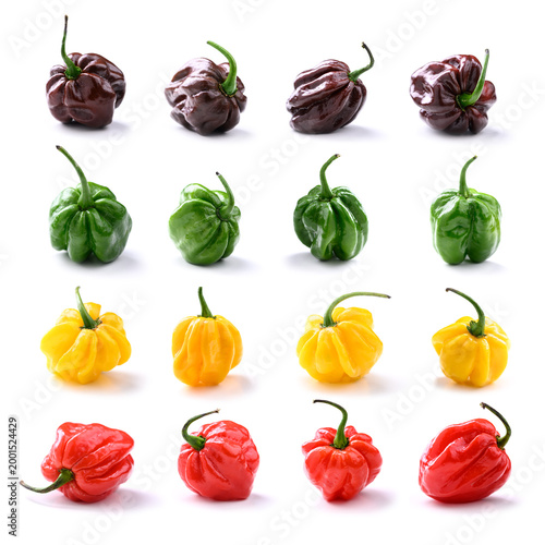 Collection of habanero peppers in multiple colors arranged in grid on white background. Red yellow green chocolate chili, variety set, isolated composition