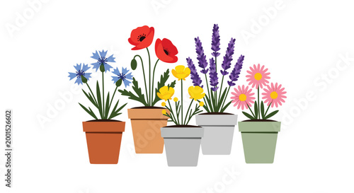 Assorted Spring Flowers in Ceramic Pots Vector Illustration with Red Poppy Lavender Cornflower and Pink Daisies Isolated on White Background